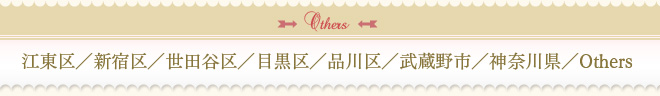 江東区／新宿区／世田谷区／目黒区／品川区／武蔵野市／神奈川県／Others