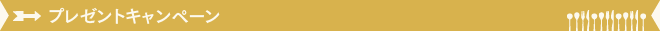 プレゼントキャンペーン