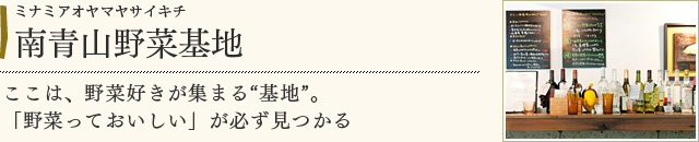 南青山野菜基地